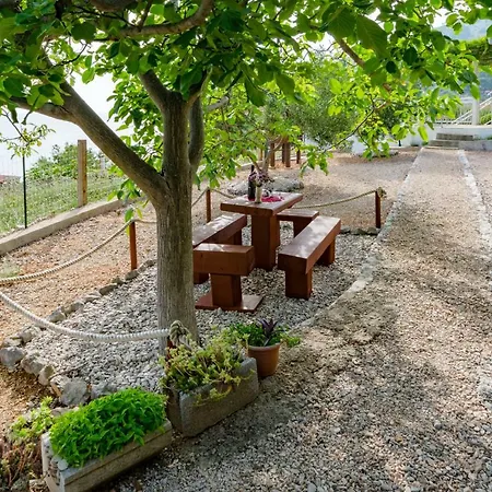 Holiday Jakov Tatil Evi *