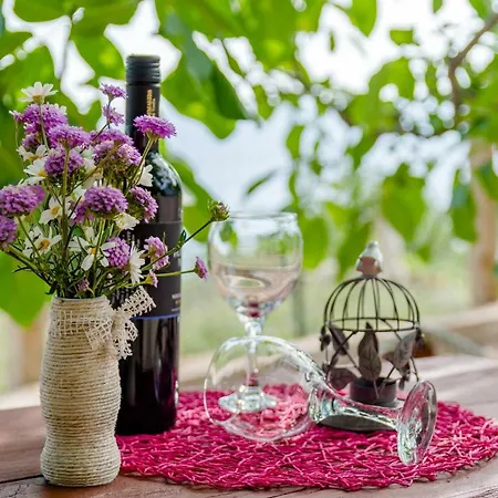 Holiday Jakov Tatil Evi